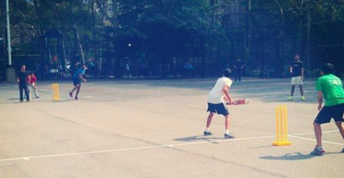 people playing cricket