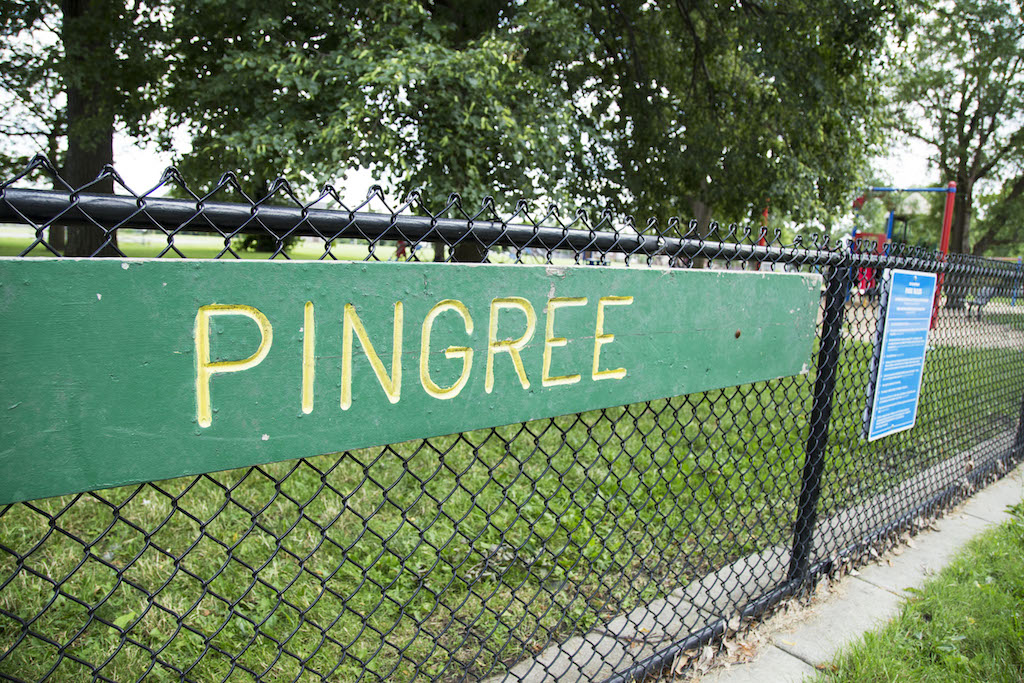 Pingree Park