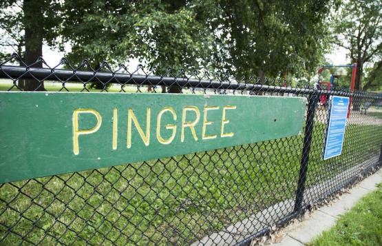 Pingree Park